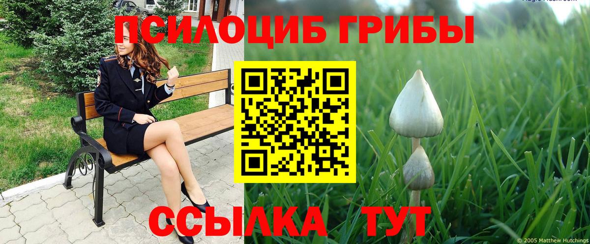 Елабуга  Галлюциногенные грибы Cubensis  Галлюциногенные грибы Magic Shrooms  Вход с VPN 