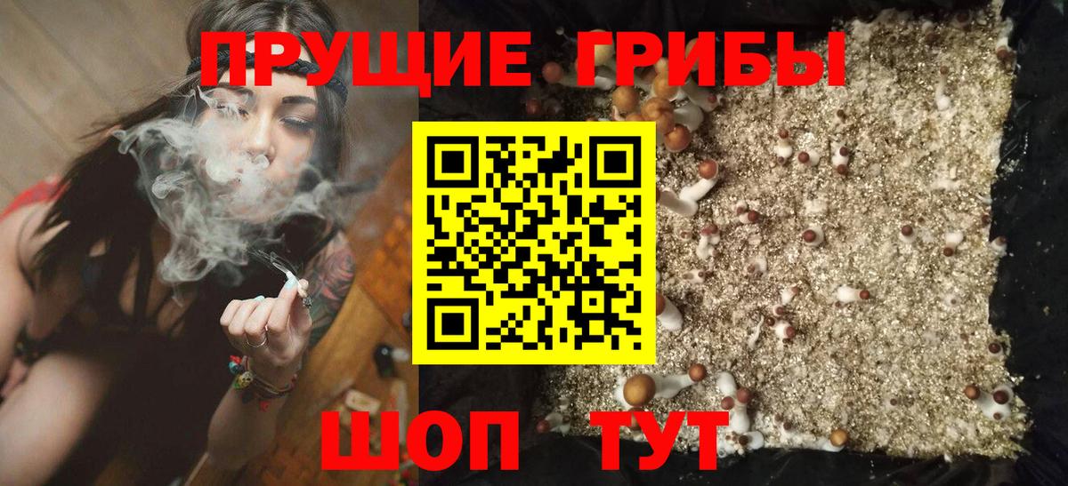 Галлюциногенные грибы MAGIC MUSHROOMS Елабуга